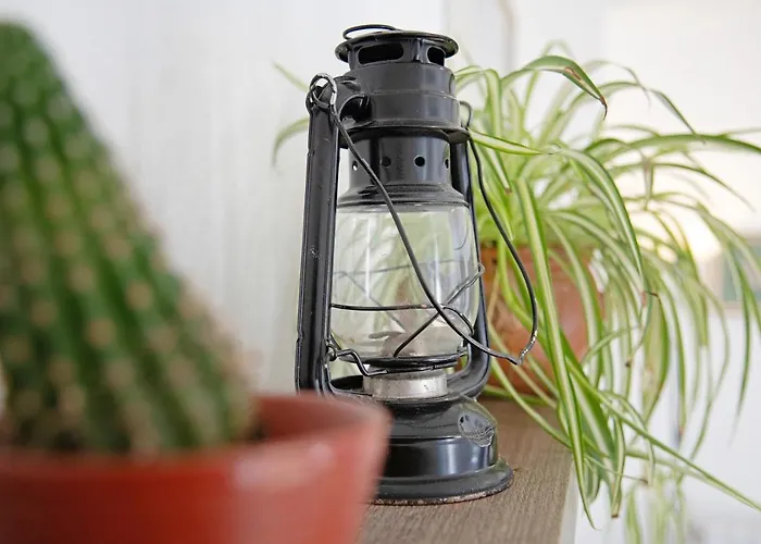 Apartman Casa Bellavista *