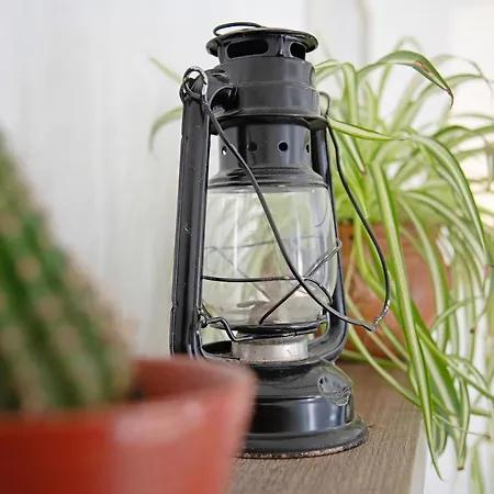 Apartman Casa Bellavista *